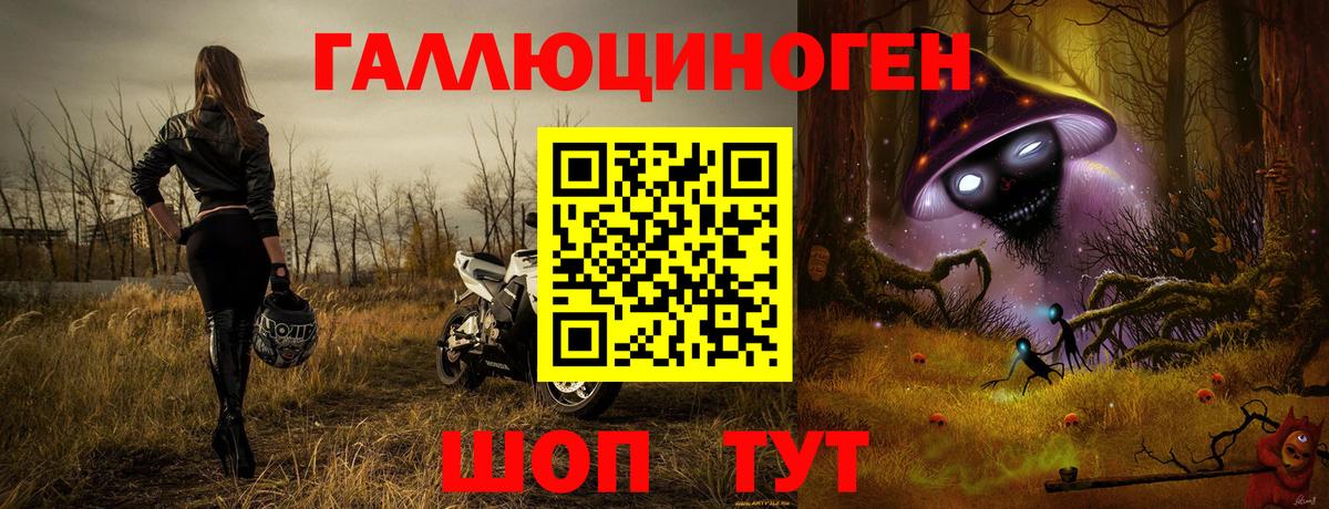 Псилоцибиновые грибы Psilocybine cubensis Кузнецк