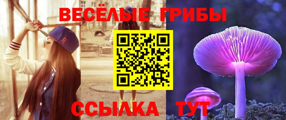 Кузнецк  Галлюциногенные грибы MAGIC MUSHROOMS  Псилоцибиновые грибы мухоморы  Вход с VPN 